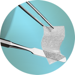 Implantable Membranes